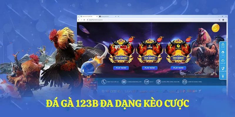 Đá gà 123B đa dạng kèo cược